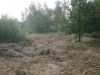 Bestaande toestand