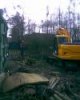 Opruimen bossage's en bomen